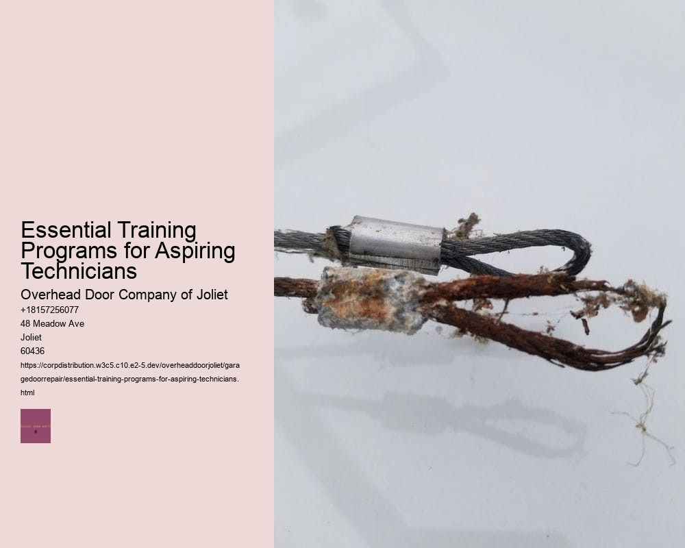 Essential Training Programs for Aspiring Technicians